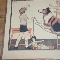 1 affiche kuhn regnier le chien